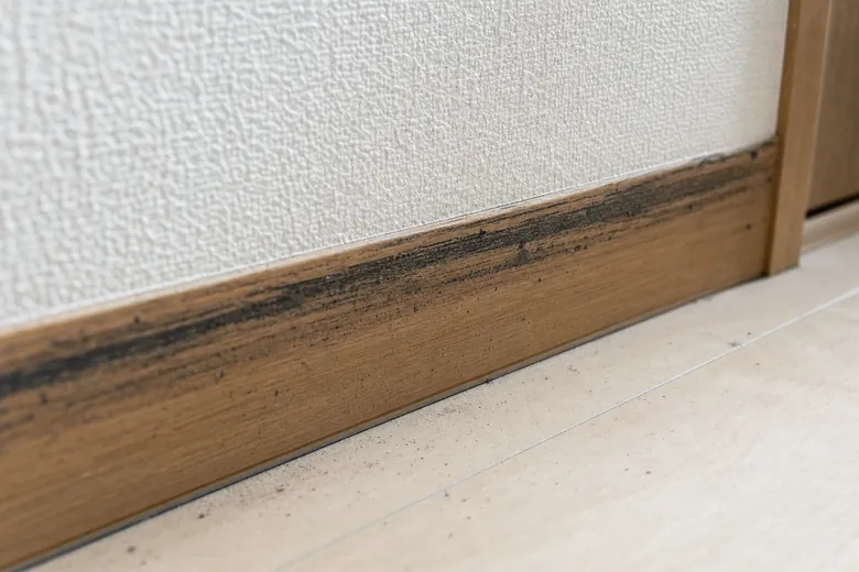 壁の隙間に残されたネズミのラットサイン（黒い汚れ）