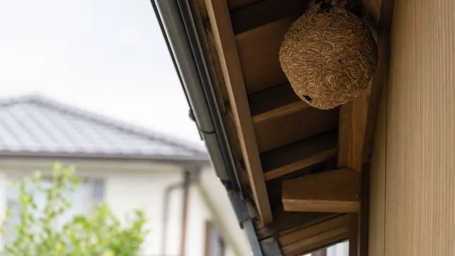 害虫と健康被害